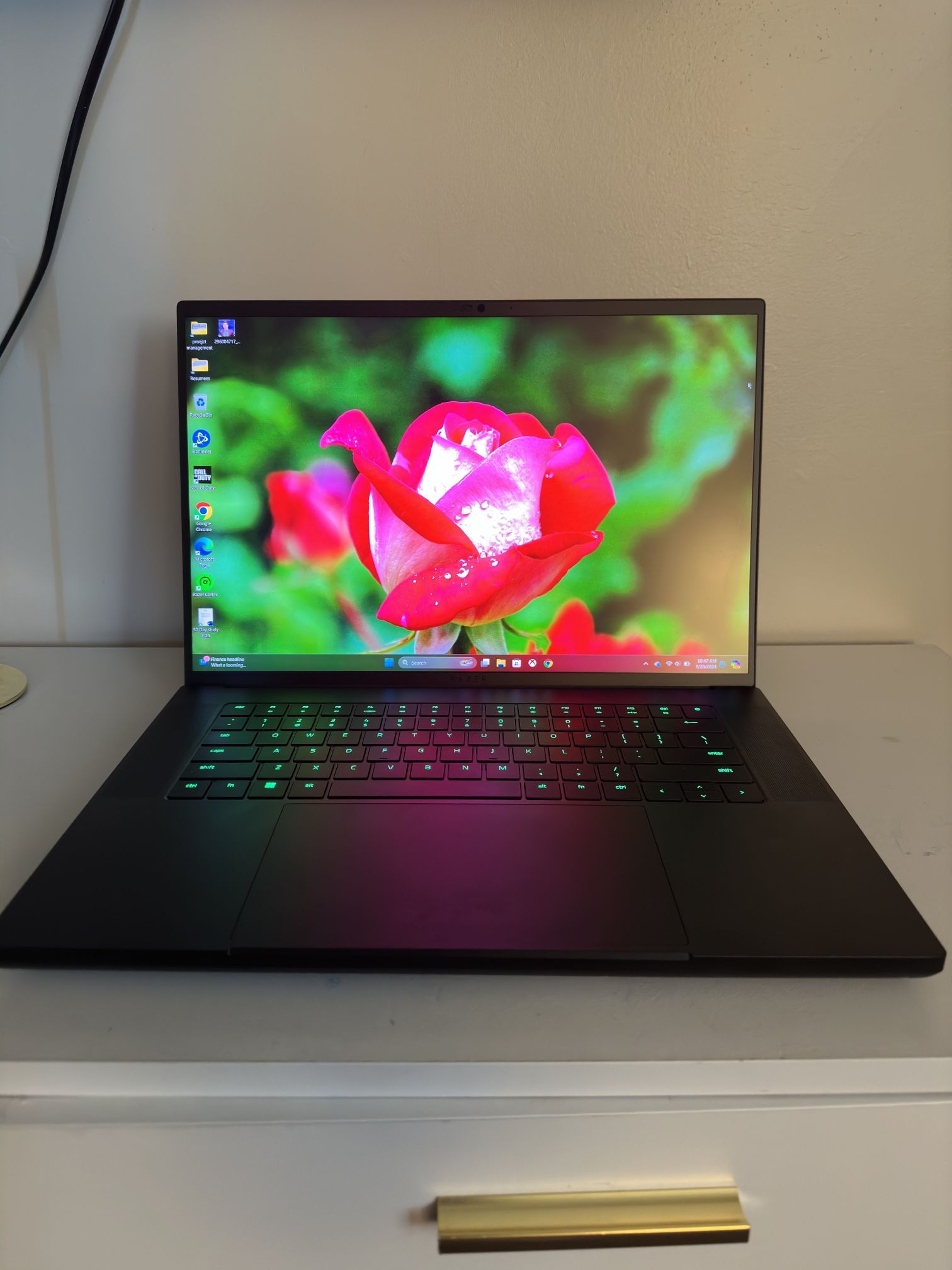 Razer Blade 14 3080 ryzen 9 gaming Laptop