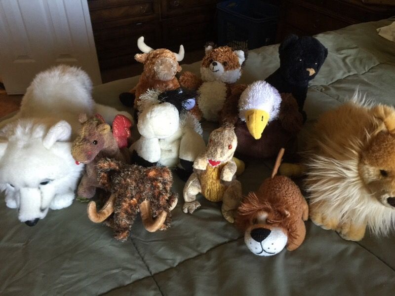 Stuffed animals