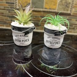 Pottery Pots W/faux Succulents
