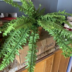 Silk Boston Fern NWOT 