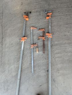 Carpenter Clams Set 4. 