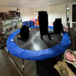 Trampoline 