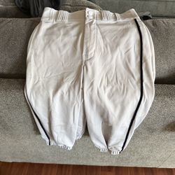 Champ Pro Baseball Pants