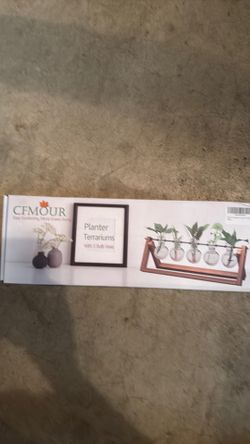 Planter geraniums