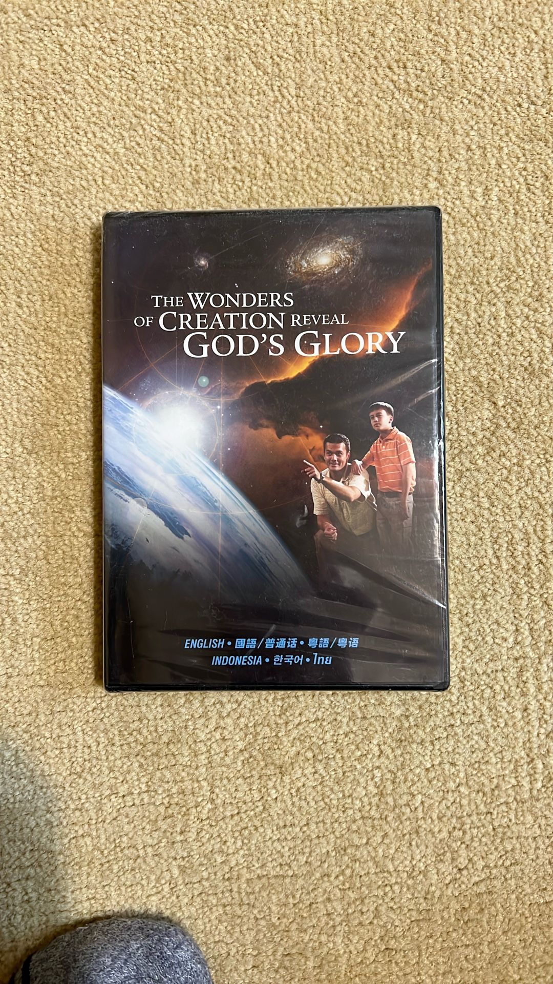The Wonders Of Creation Reveal God's Glory