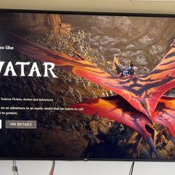 75 Inch LG 4K UHD TV