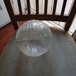 Hamster Excercise Ball