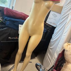 mannequin 