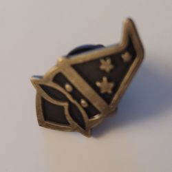 Wizard Diestruck Antique Finish Black and Gold Tone Pin 