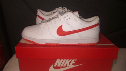 Nike dunk low retro