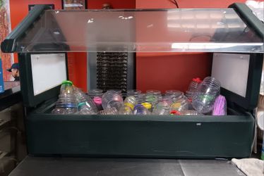 Salad Bar
