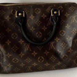 Louis Vuitton Bag 