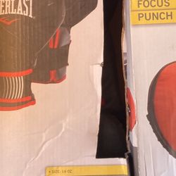 Focus Mitts And Training Gloves 14oz