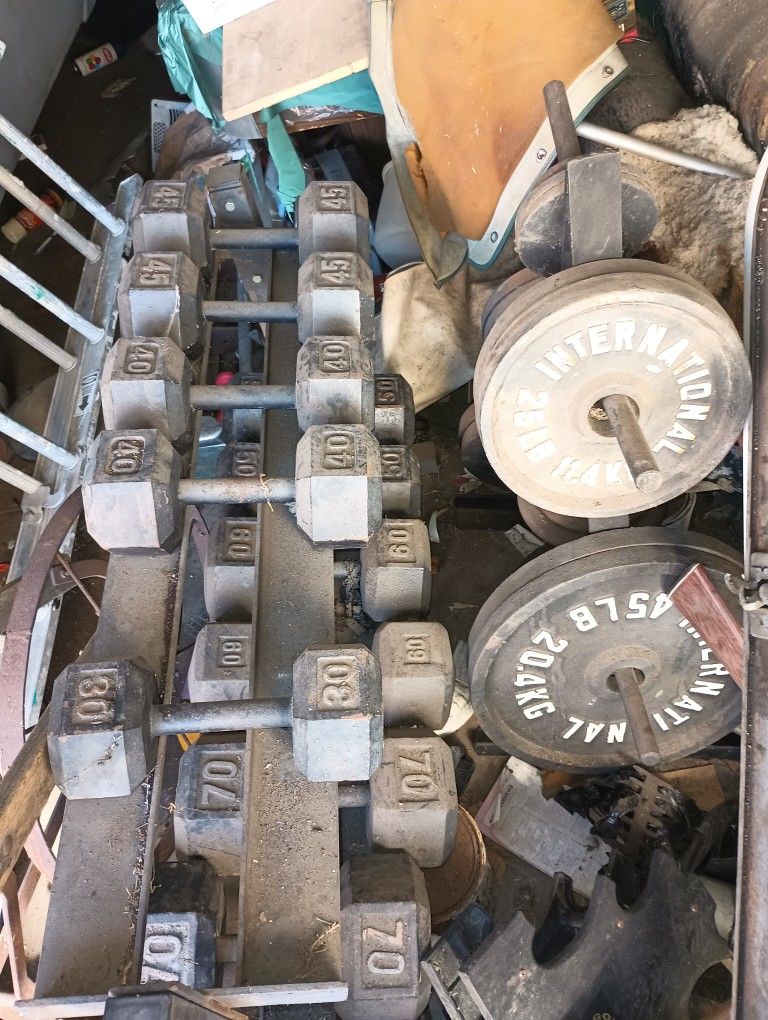 Iron Weights Dumbbells, Racks, Olympic Weights and miscellaneous as pictured 