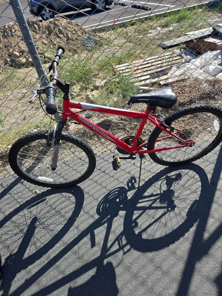 Roadmaster Bike