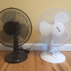 Fan