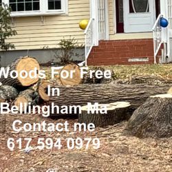 Woods For Free