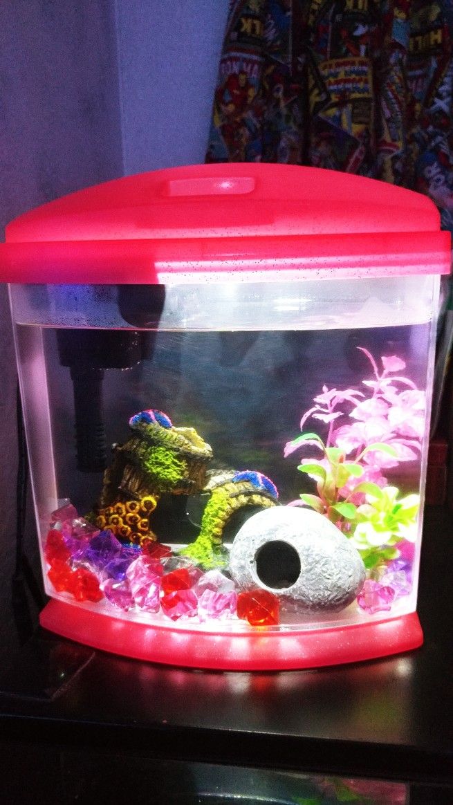 Aqueon 1-Gallon LED MiniBow