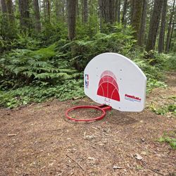 Retro 90s NBA Huffy Sport Fiberglass Basketball Backboard and Rim