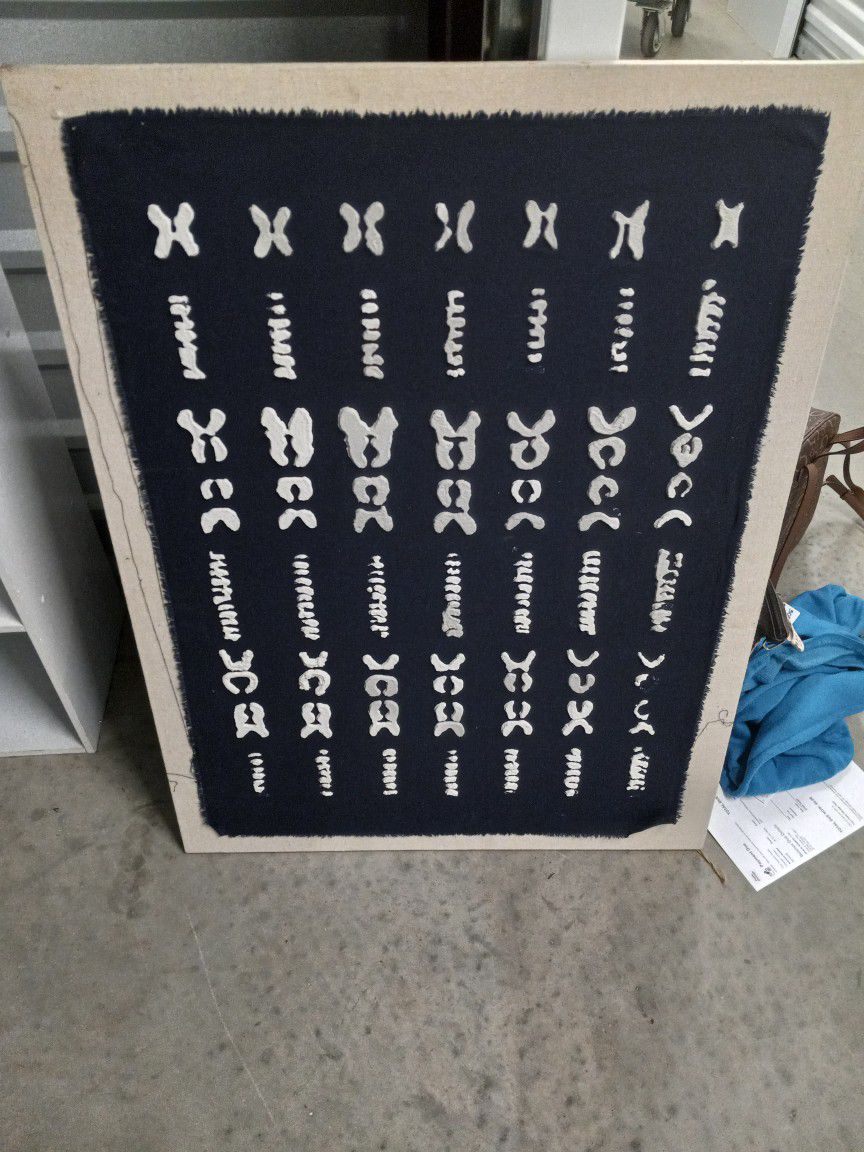 Navy Blue Fabric Picture