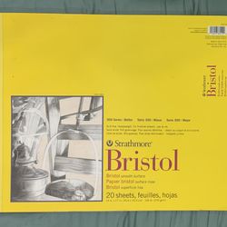 Strathmore Bristol Smooth Surface 300 Series 14x17”
