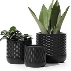 Outdoor/ Indoor Ceramic Succulent Pot with Drainage