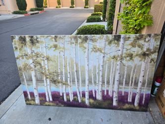 Large Canvas