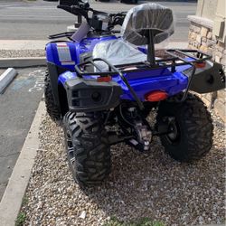 Atv300cc