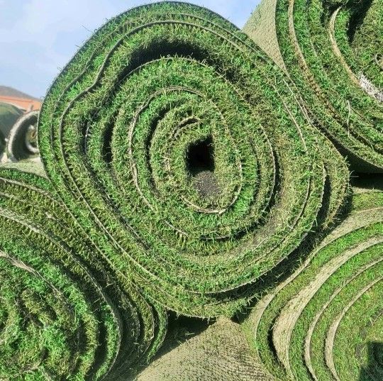 Artificial Grass Used *** HOLLISTER ππ‘