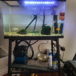 30 Gal. Fish tank