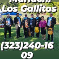 Mariachi