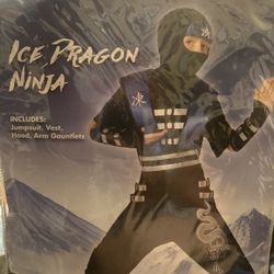 Ice Dragon Ninja Costume-Child-Small 4-6/Brand New