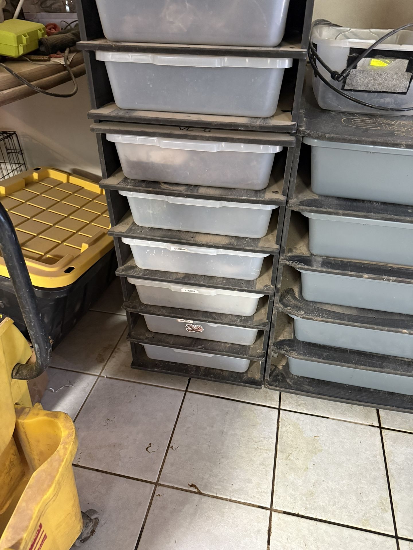 Reptile Basics VE-6 Rack With Tubs