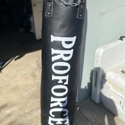 Punching Bag - Pro force 