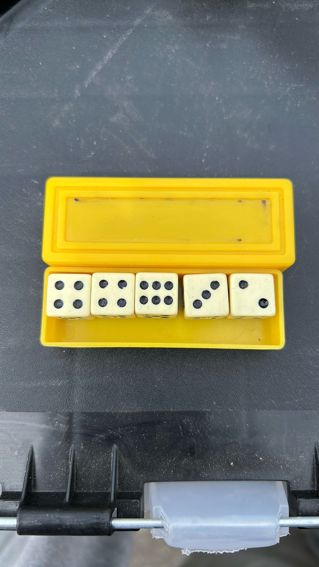 Travel dice