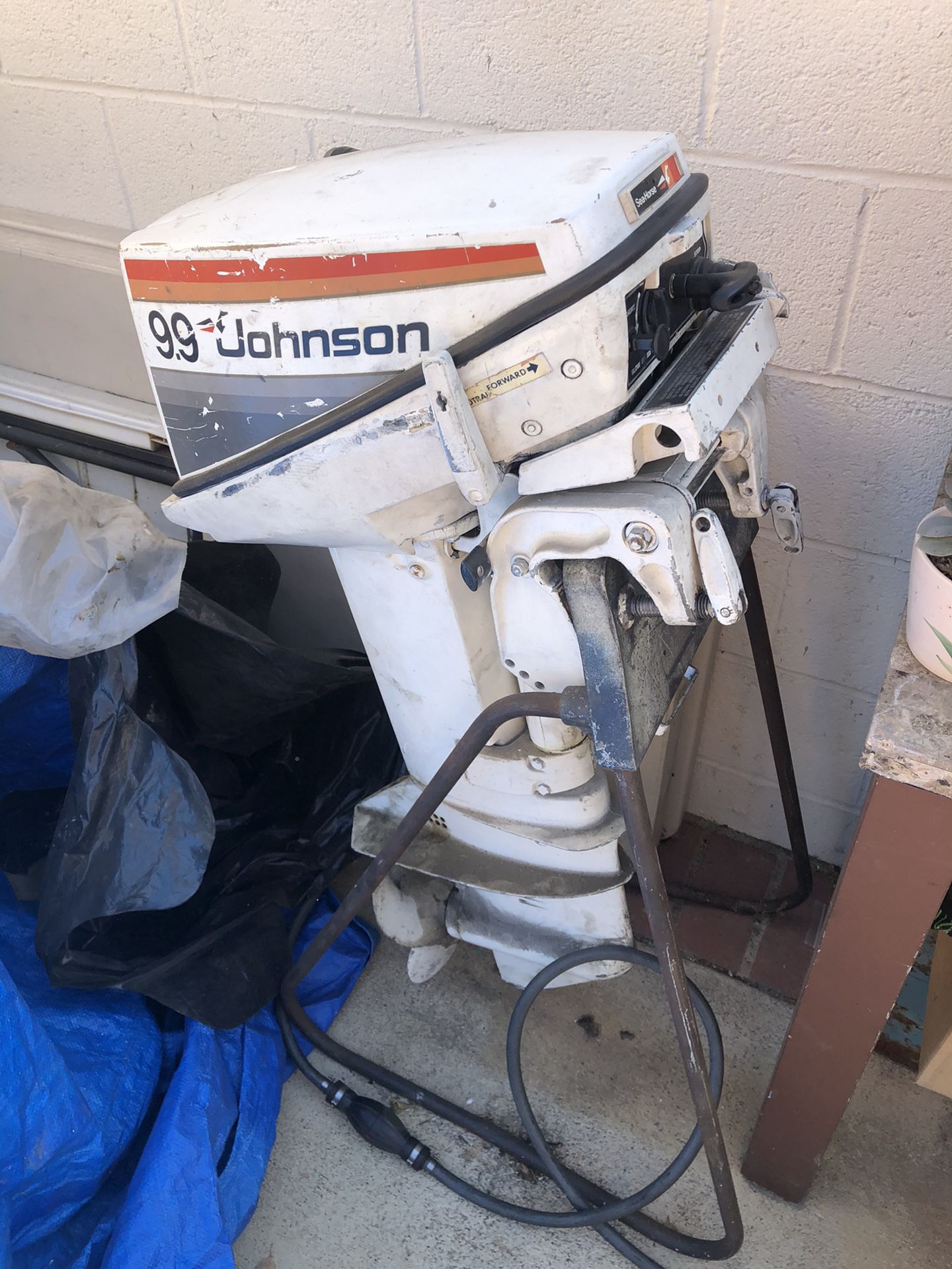 Johnson 9.9 Hp outboard motor