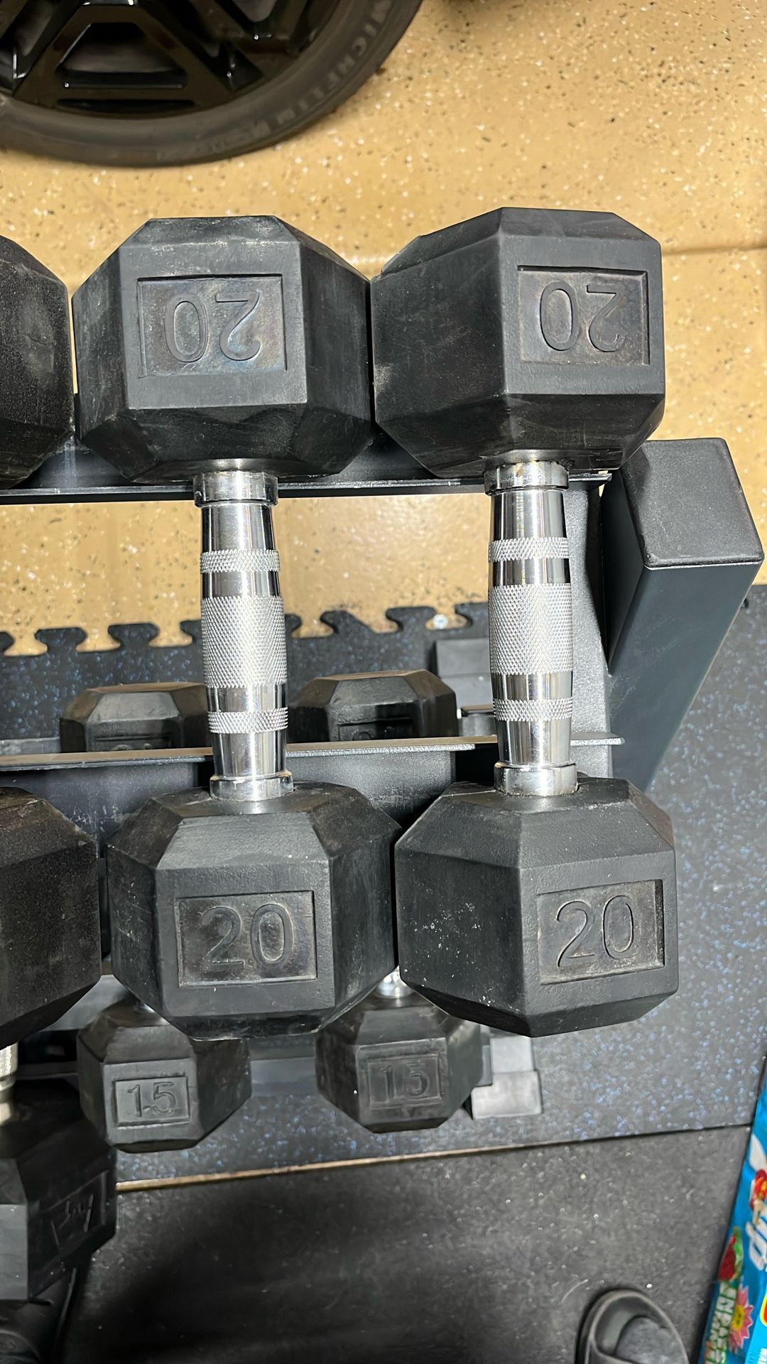 20lb Dumbbells