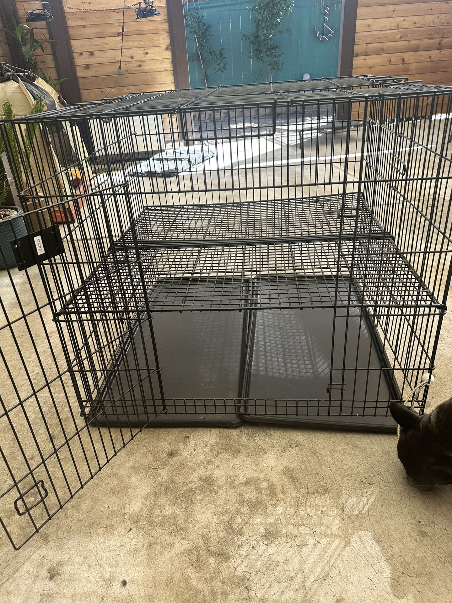 Puppy Playpen 36 X 36