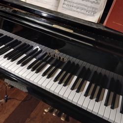 Sauter Grand Piano