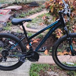 Schwinn 24