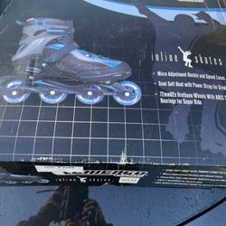 Chicago Skates