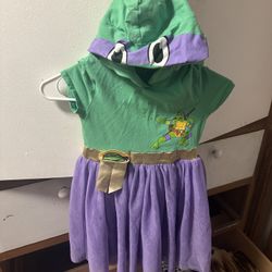 Girls Ninja Turtle Hooded Dress