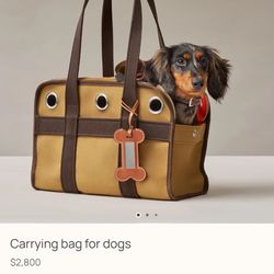 Hermés Pet Carrier Bag