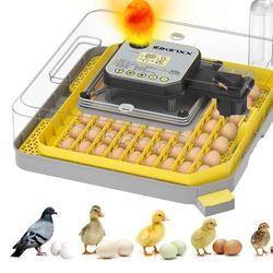 Incubator for Hatching Eggs-48 Egg Capacity, Auto Egg Turner & New Auto Precision Humidity Control System, 360° Clear Viewing
