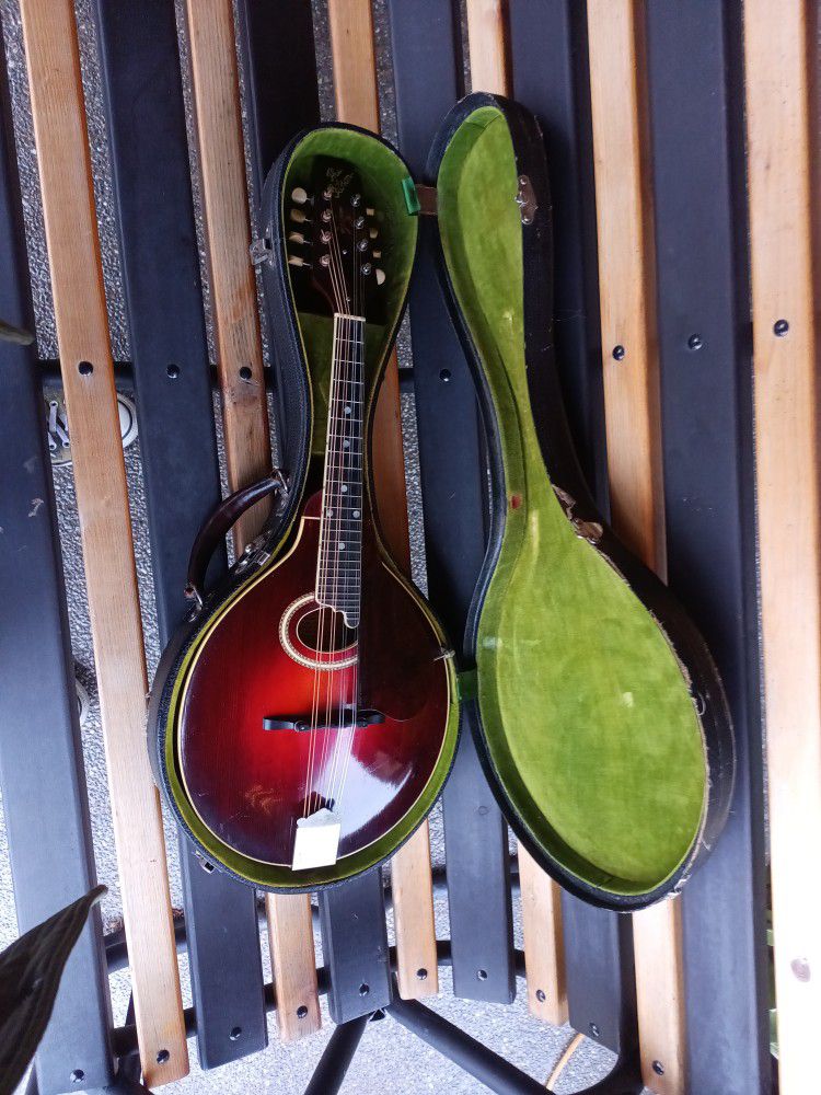 Vintage 1925 The Gibson Mandolin 