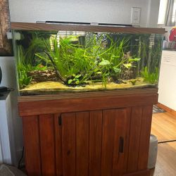 30 Gal Aquarium 