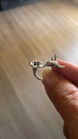 Ring humming bird