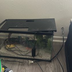 15 Gallon Fish Tank 