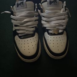 Bapes 6.5M