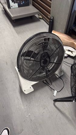 Fan